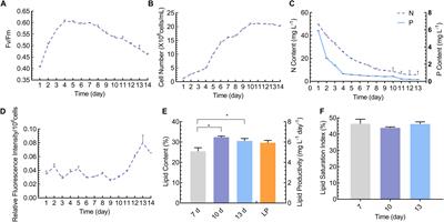 Plastidial and ER Triacylglycerol Biosynthesis in a Growth Phase-Dependent Manner in the Heterokont Nannochloropsis oceanica